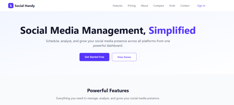 SocialHandy SaaS social media management platform case study